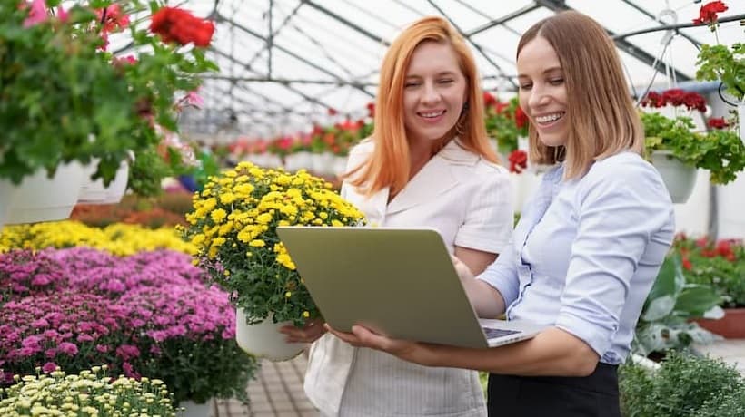 Leveraging Twisted-Pail Cables for Long Distance Greenhouse Data Transmission in Netherlands Floral Industry